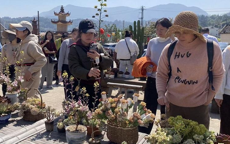 一座古村落的蝶变:闽台乡建乡创点亮桂林村